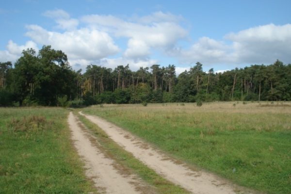 Atrakcyjny teren do nabycia w Kościnie